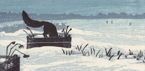 Tempelhoferfeldfuchs